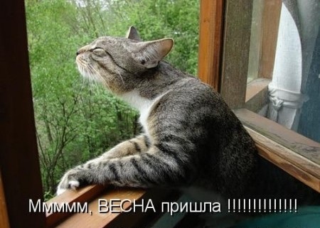 97933936_7010.jpgвесна пришла.jpg