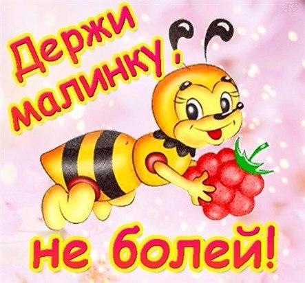 f697733bbf5d.jpg