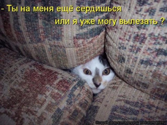 9352d295005a.jpgэтя.jpg