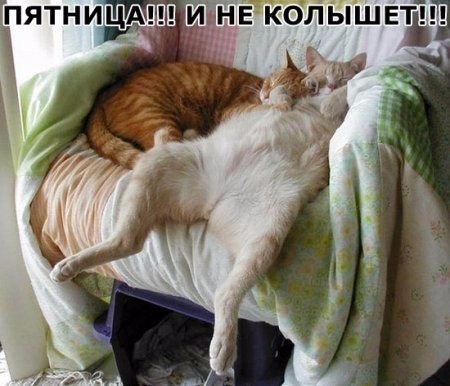 97dc005af77e.jpg