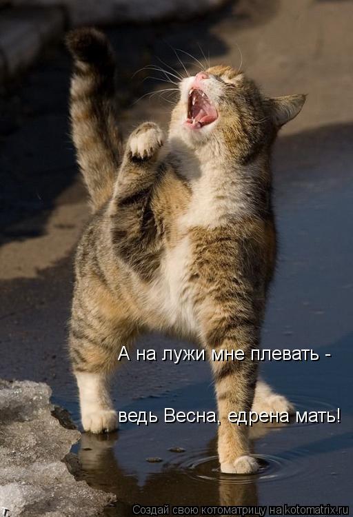 1124280.jpg