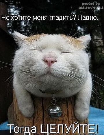x_fc512222.jpg