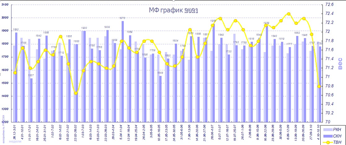 МФ график 2021.jpg