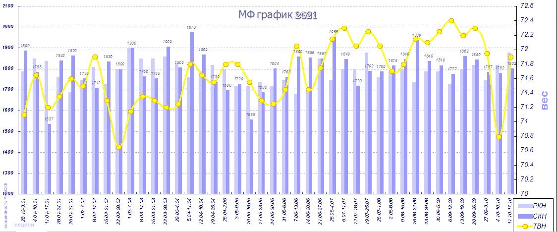 МФ график 2021.jpg