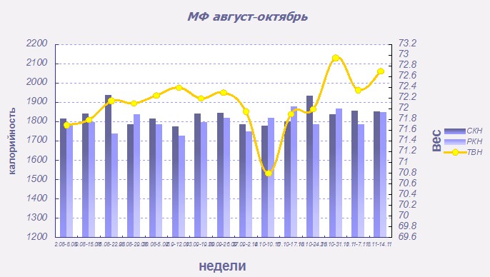 МФ график август-декабрь 2021.jpg