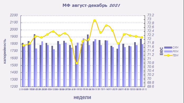 МФ график август-декабрь 2021.jpg