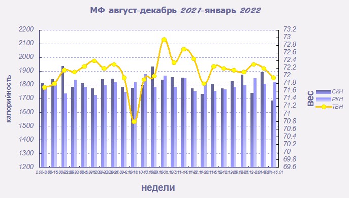 МФ график август-декабрь 2021.jpg