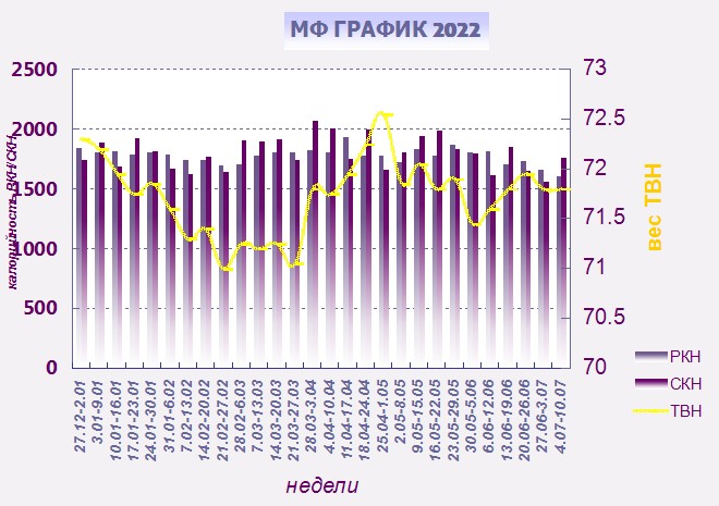 МФ график 2022.jpg