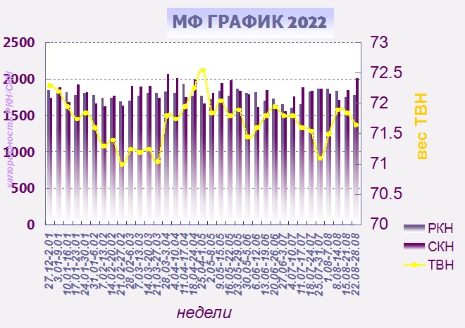 МФ график 2022.jpg