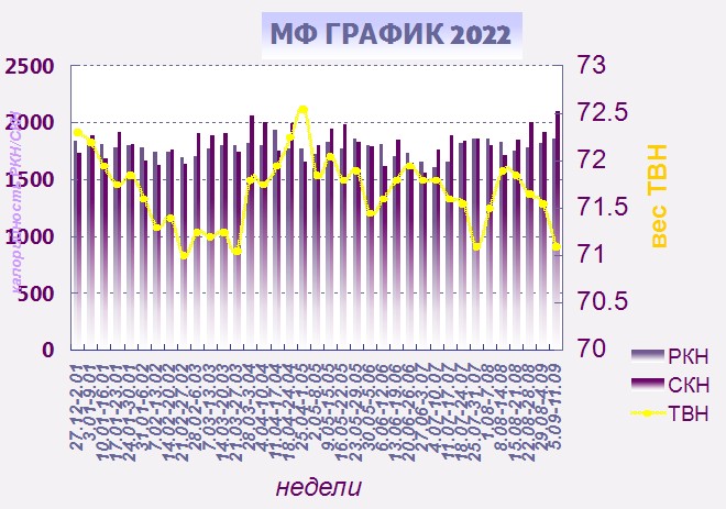 МФ график 2022.jpg